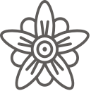 Flower icon